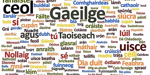 Annual Day of Irish Language & Culture 2026 sponsord by Feile, Inc.