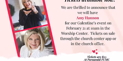 Galentine's Event featuring Amy Hannon