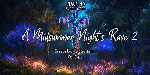 A Midsummer Night's Rave 2