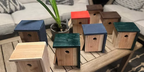 Kids' Woodworking Project: Build a Birdhouse