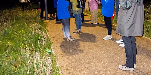 Peel Park Bat Walk