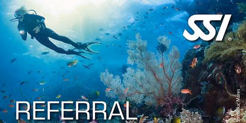 referral diver ( start now finish abroad) 