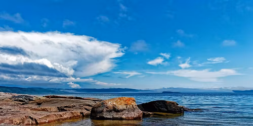 We're All in This Together: Book vs. Movie