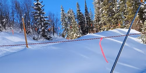 Womxn Who Snowboard\/Ski (or want to learn!) Meetup in Colorado Springs