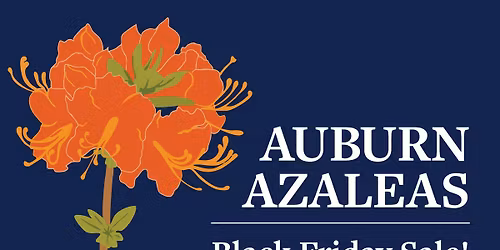 Auburn Azalea Black Friday Sale