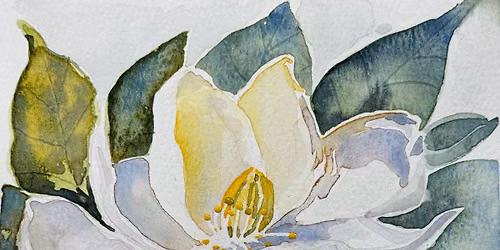 Watercolor Magnolia (Reserve Only)