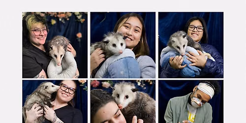 Opossum Photobooth & Pet Toy Drive for National Opossum Day