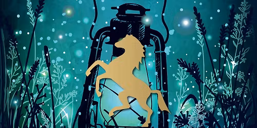 Svatomartinsk\u00fd lampionov\u00fd pr\u016fvod