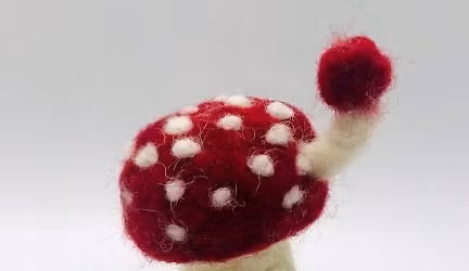 Needle Felted Mushroom Class with Rachel Benson
