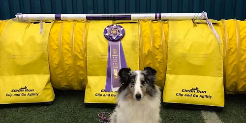 MVSSC AKC Agility Trial