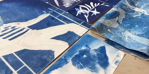 Summer Botanical Cyanotype