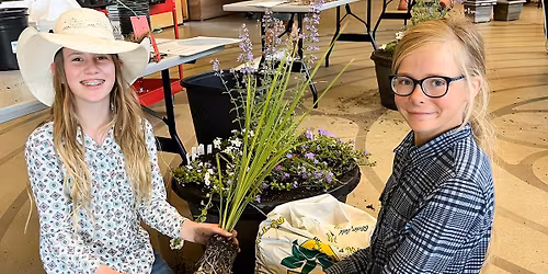 Teens: Library Beautification Project