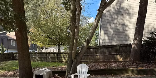 November Kennel House Workday