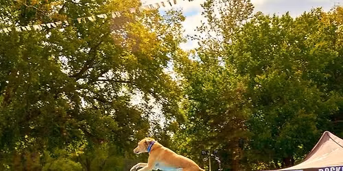 DockDogs\u00ae at the Douglas County Fair  |  Wild Card Double Header!