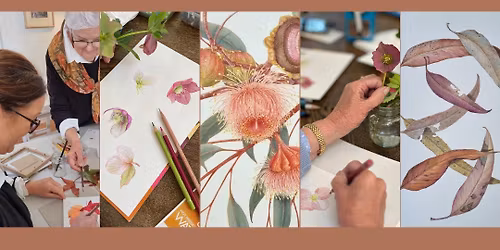 Botanical Drawing Workshop with Sandra Johnston