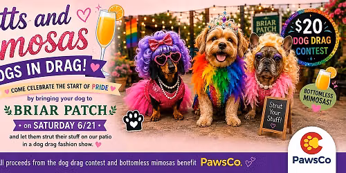 Mutts & Mimosas - Dogs in Drag!