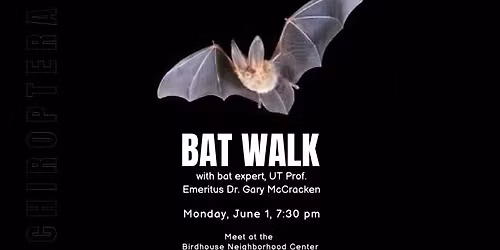 Bat Walk