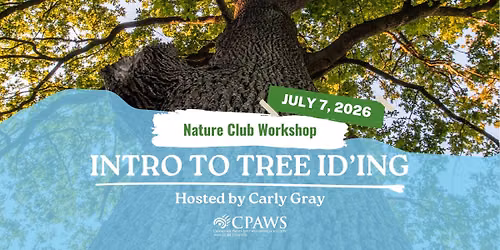 Workshop: Tree IDentification
