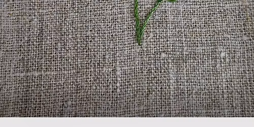 Broder Flora Danica med Rikke @moonfeather