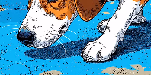 Intro to AKC Tracking Seminar Presented by Jane Collins