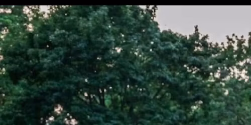 Michigan\u2019s Stevie Nicks \/ Fleetwood Mac Experience ROCKS SCOOTERS bar & Grill