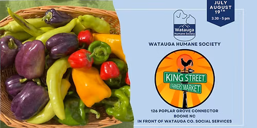 \ud83d\udc36 Wagging Tails on King Street \ud83d\udecd\ufe0f\ud83d\udc3e