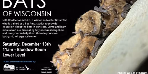 Bats of Wisconsin