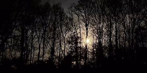 Wicca Phase Springs Eternal in Raleigh