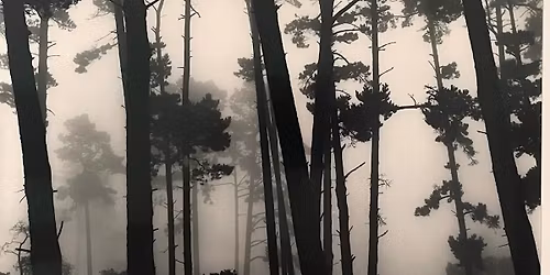 Talk with the collector: Andy Hazlitt