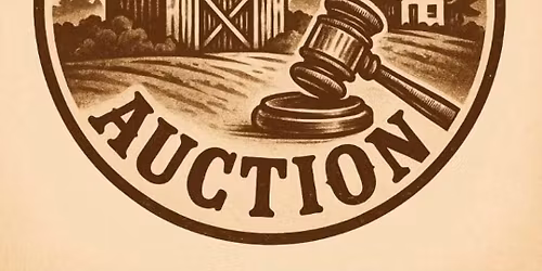 Hometown Auction 