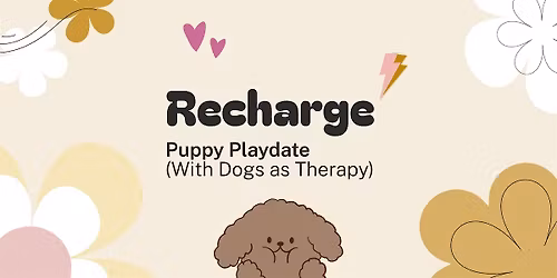 Puppy playdate with Dogs as Therapy