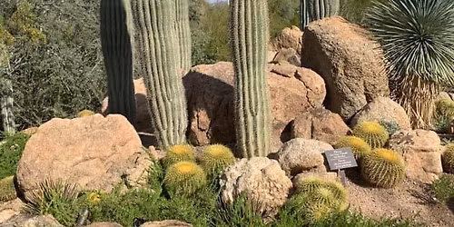 Connecticut Cactus and Succulent Society's 41st Annual Show and Sale