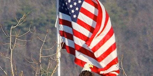 Bartonville VFW Auxiliary MONTHLY QUARTER AUCTION PUBLIC WELCOME 