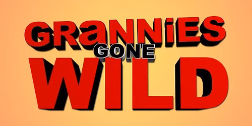 Grannies Gone Wild pub crawl
