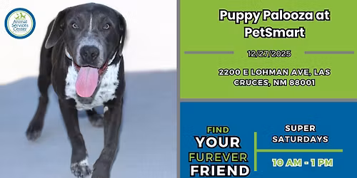 Puppy Palooza at PetSmart