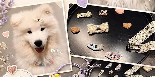Paws & Bows Atelier: A Pet & Owner Accessories Workshop