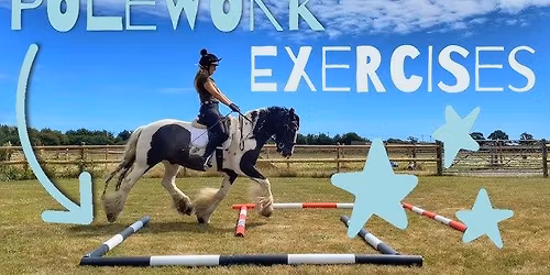 Cornwall Trec Group Winter Training, Flatwork with Poles with Cassy Gadsby - 4
