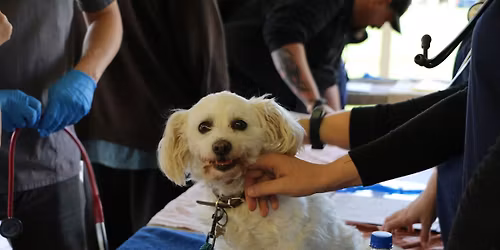 Community Action Day - Kwinana
