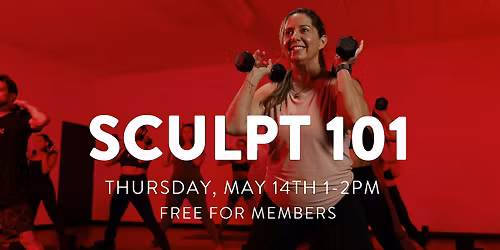 Sculpt 101