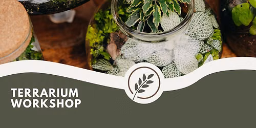 Terrarium Workshop