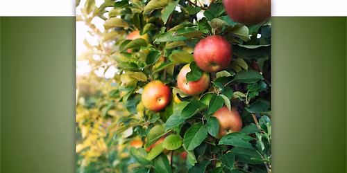 Bio-Garten Obstbaum- und Beerenstrauchtag \ud83c\udf4e