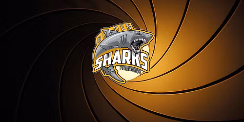 CEHL - Golden Sharks VS EHC Die B\u00e4ren Neuwied