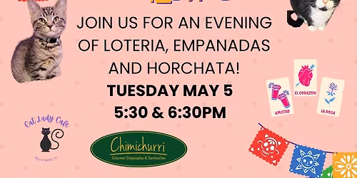 Cinco de Meow-o at the Cat Lady Cafe