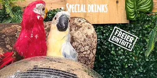 K\u00e4the\u00b4s FR\u00dcHLINGSGEF\u00dcHLE - Sa 14.03.2026 - Tagesopenair - House & Techno Music - Eintritt frei  