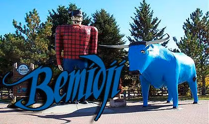 Reforest Bemidji Tree Distribution - Remaining Inventory