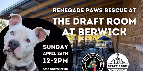Renegade Paws Rescue at the Draft Room at Berwick