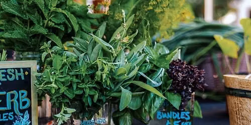 Downtown Tulsa Midweek Market - July 29