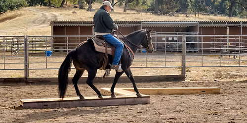 Obstacle Practice\/Fun Day