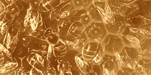 #8 Workshop: Working and struggling together