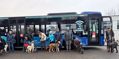 4 Pfoten auf Achse \ud83d\udc36\ud83d\ude8c bei Racktours in ERLENSEE